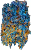 Bernd Schwarzer, Eurokopf (Gold-Blau)