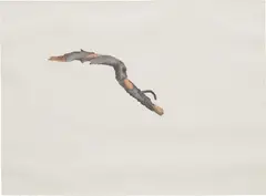 Study for "all in the field" (bark) by Jim Hodges, 2003, Prismacolor pencil on paper, sold Apr 2021
