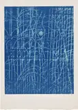 Max Ernst, La forêt, à l'aube, 1958, lithograph on Rives paper