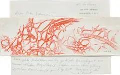 Max Ernst, Herzgefäße, 1967, oil crayon frottage on paper laid on a letter to Peter Schamoni from Max Ernst, mounted on card