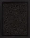 Damien Hirst, AIDS, 2003, flies and resin on canvas, in artist's frame