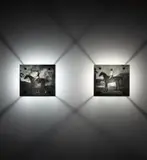 Mat Collishaw, Two works: (i) Antonius, a horse belonging to his grace the Duke of Grafton; (ii) The Marquess of Rockingham's scrub with John Singleton Up, 1990, each glass, photocopy, light, light fitting and steel