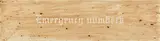 Ed Ruscha, Emergency Numbers, 1973, cherry stain and cherry juice on paper