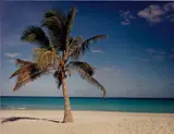 Christopher Williams, Punta Hicacos, Varadero, Cuba, February 14