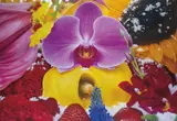Marc Quinn, Pitons of St Lucia