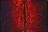 Untitled by Anish Kapoor, 2008, gouache and acrylic on paper, sold Jul 2020