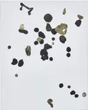 Adam McEwen, Bomber Harris, 2008, chewing gum, acrylic and sand on canvas