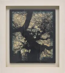 Structure of Thought 10 by Doug Starn and Mike Starn, 2001, mixed media, MIS on Lysonic inkjet print, Thai mulbury gampi and tissue paper with encaustic wax, in artist's frame, sold Jul 2020