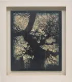 Doug Starn and Mike Starn, Structure of Thought 10