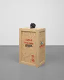 Mark Dion, The Tar Museum - Skull, 2006, wooden shipping crate, tar and plastic cast