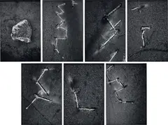 Shannon Ebner, Incendiary Distress Signals, 2011, c-print, in 7 parts