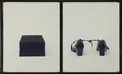 Lorna Simpson, Practical Joke, 1992, 2 dye diffusion colour Polaroid prints, in artist's frame