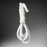 Sigalit Landau, Crystal Gang Hang, 2013, noosed rope coated in salt crystals