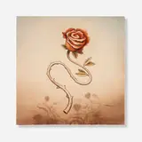 Tiffany Bozic, Rose, 2006, acrylic on panel