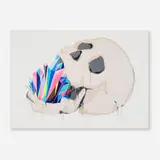 Vexta, Untitled, 2013, screenprint in colors