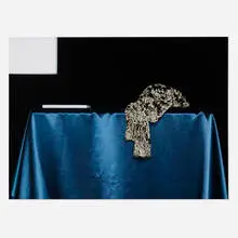 Éric Aupol, Portrait de Clérambault, La Salpétrière, Paris, 2014, inkjet print mounted to aluminum