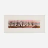 Peter Sculthorpe, Corn Snow