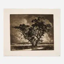 George Elbert Burr, Old Cottonwoods (third state), 1920, etching and aquatint on J. Whatman