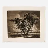 George Elbert Burr, Old Cottonwoods (third state), 1920, etching and aquatint on J. Whatman