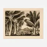 Howard Cook, Cocoanut Grove (Cocoanut Palms)