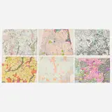 Nancy Graves, Six works from the Lithographs Based on Geologic Maps of Lunar Orbiter and Apollo Landing Sites series