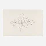 Woodland Plant by Ellsworth Kelly, 1979, lithograph on Arches Cover, sold Apr 2025