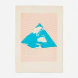 Agnes Denes, Study of Distortions (from the Isometric Systems in Isotropic Space portfolio), 1974, lithograph in colors on Arches
