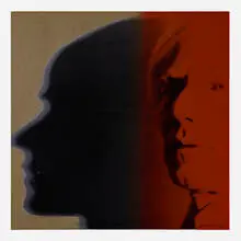 Andy Warhol, The Shadow (from the Myths suite), 1981, screenprint in colors with diamond dust on Lenox Museum Board