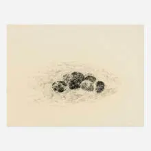 Richard Gilkey, Drawing #12, c. 1965, charcoal on Arches