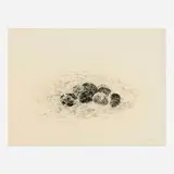 Richard Gilkey, Drawing #12, c. 1965, charcoal on Arches