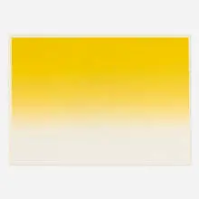 Pae White, Web Sampler (#5), 2000, spiderweb on perfect paper
