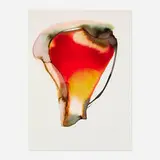 Paul Jenkins, Phenomena Open Vessel