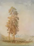 George Elbert Burr, Twin Peaks