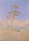 George Elbert Burr, Lone Tree