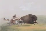 George Catlin, Buffalo Hunt, Colored lithograph, later printing
