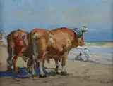 Mathias Alten, Oxen at Cabânal