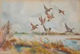 Ducks Alighting by Frank Weston Benson, DUCKS ALIGHTING, watercolor on paper, offered Dec 2008