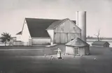 Roger Medearis, Rhode Island Reds, Lithograph
