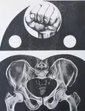 Lowell Blair Nesbitt, Fist and Pelvis Ii, Lithograph