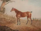 W.J. Gilbert, Chestnut in a Landscape, Watercolor on paper