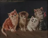 Rose Sobel, Kittens, Oil on canvas
