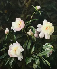 Harry Lane, Peonies, Oil on board