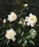 Harry Lane, Peonies, Oil on board