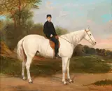 Richard Dodd Widdas, Rider on White Horse, Oil on canvas