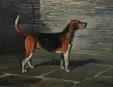 Franklin Brooke Voss, Belvoir Rummager, Oil on canvas