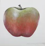 Richard Sparre, Apple, Gouache on paper