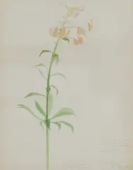 Untitled by John Nash, c.1929 watercolour over pencil inscribed with pencil notes l.r., sold Oct 2023