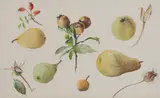 Joan Warburton, Untitled, watercolour 32 x 52cm