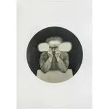 Alfredo Castañeda, Oyente no. 3, Serigrafía 43 / 100