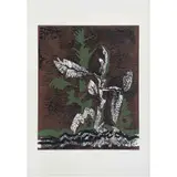 Gilberto Aceves Navarro, Germinación, Litografía 71 / 200